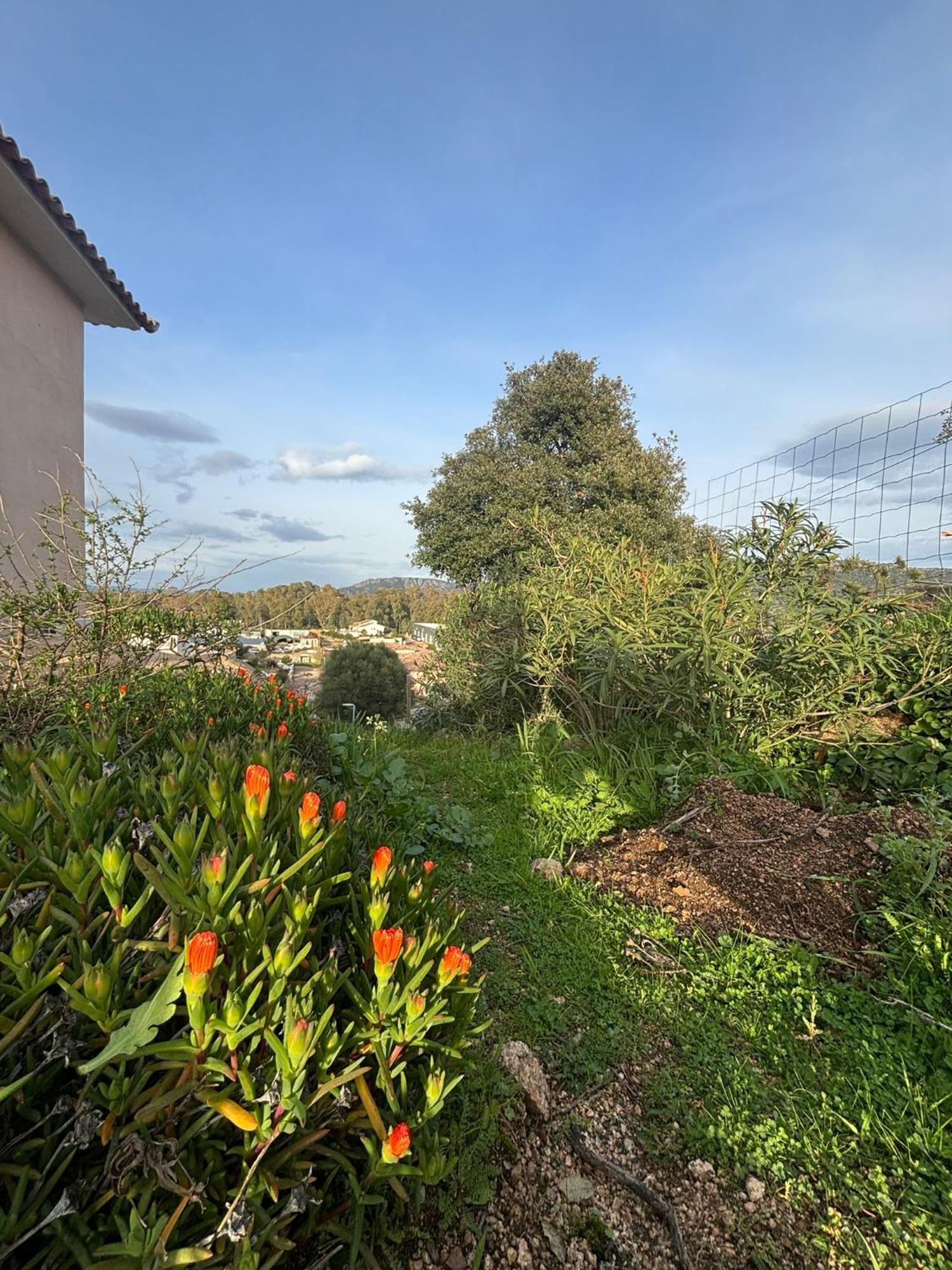 Isula Petra Villa Porto-Vecchio  Exteriör bild
